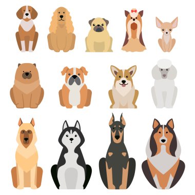 Beyaz izole farklı köpek doğurmak