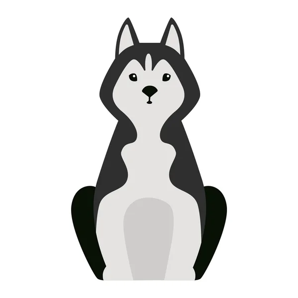 Pásztor Vizsla kutya állat vektor — Stock Vector