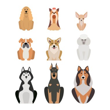 Beyaz izole farklı köpek doğurmak