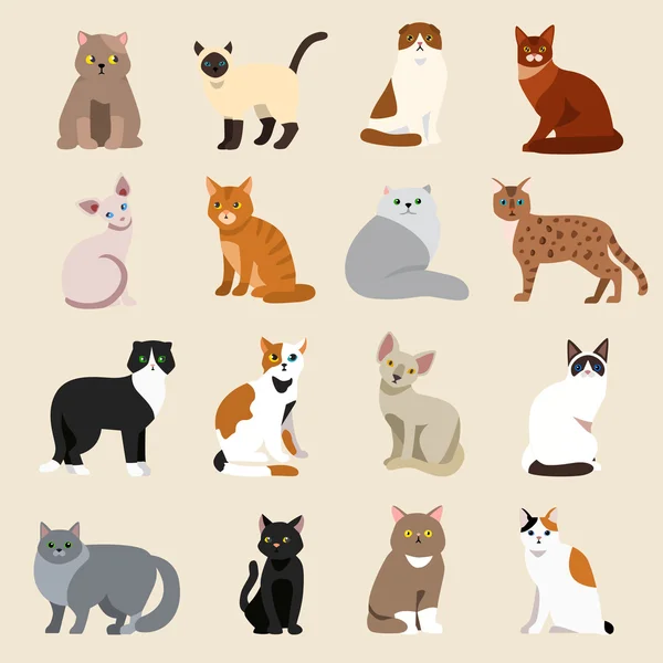 Cat breeds cute pet animal set — Stock Vector