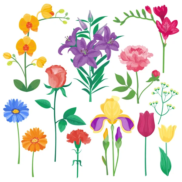 Φύση λουλούδια στεφάνι εικόνα — Διανυσματικό Αρχείο