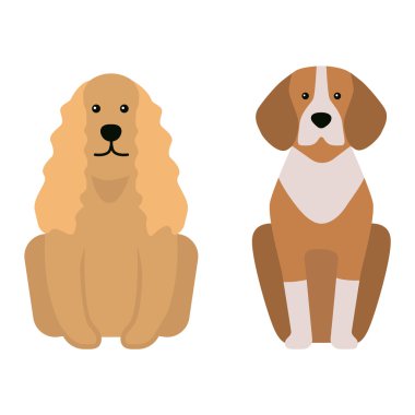 Çoban retriever köpek hayvan vektör