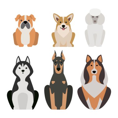 Beyaz izole farklı köpek doğurmak