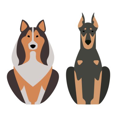 Çoban retriever köpek hayvan vektör