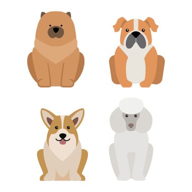 Beyaz izole farklı köpek doğurmak