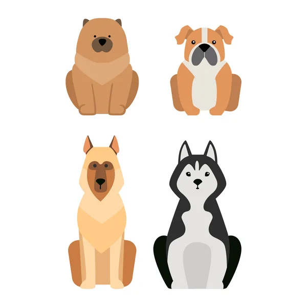 Diferentes perros crianza aislado en blanco — Vector de stock