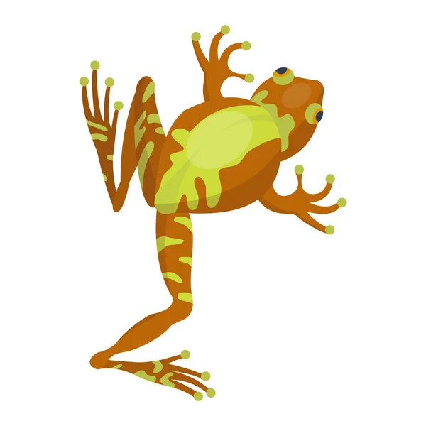 Tropických kreslený žabák — Stockový vektor