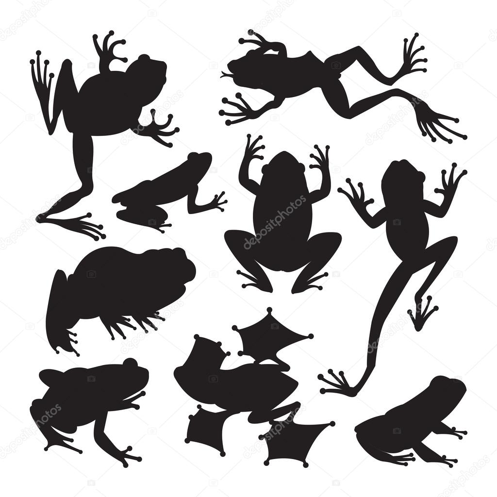Frog cartoon tropical animals