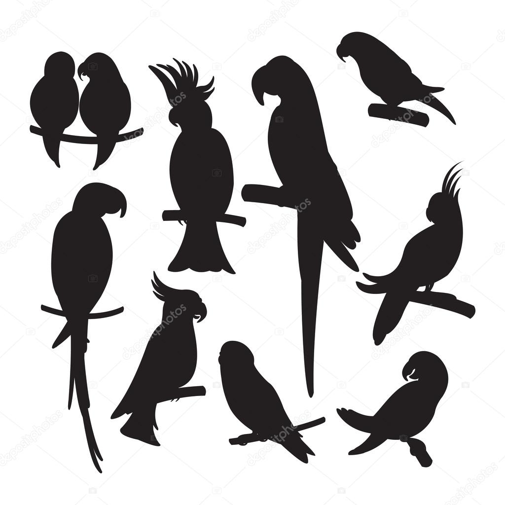 Cartoon parrots set vector