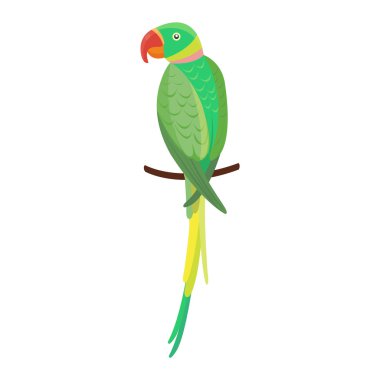 Çizgi film papağan vektör kuş