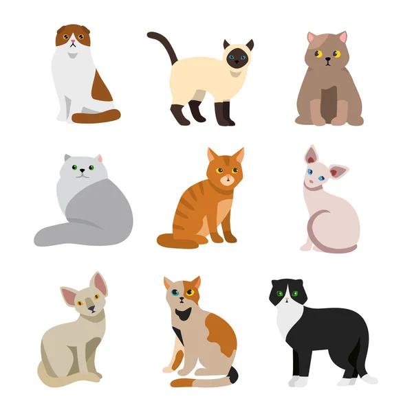 Cat breeds cute pet animal set — Stock Vector