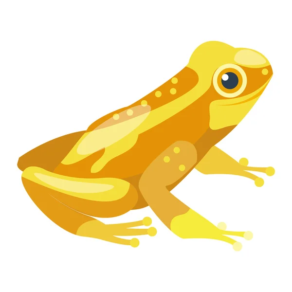 Frog cartoon tropical animal — Stock Vector