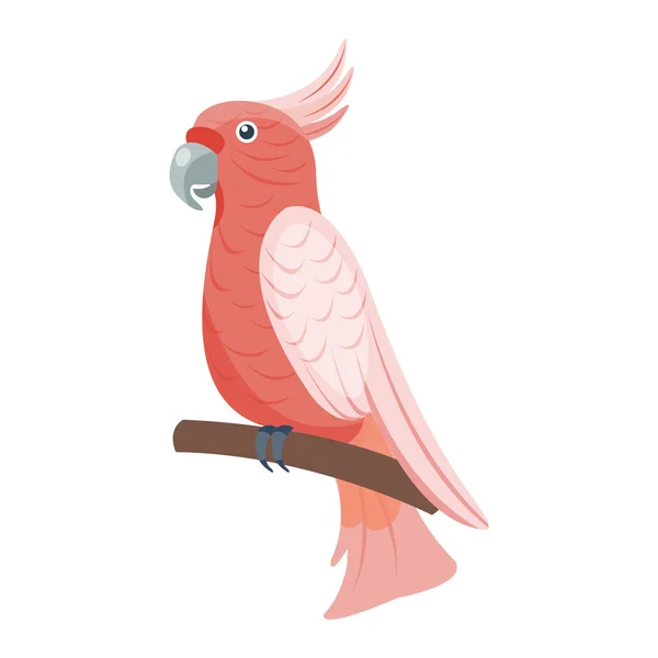 Perroquet dessin animé oiseau vecteur — Image vectorielle