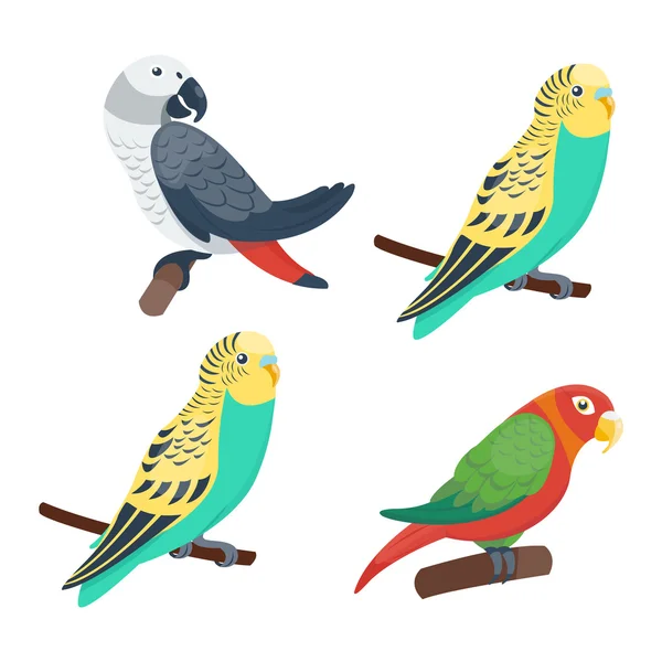 Dibujos animados loros conjunto vector — Vector de stock