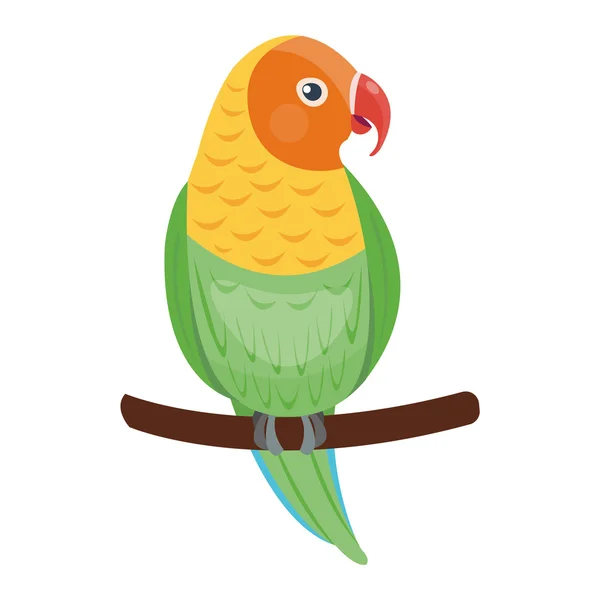Dibujos animados loro vector pájaro — Vector de stock