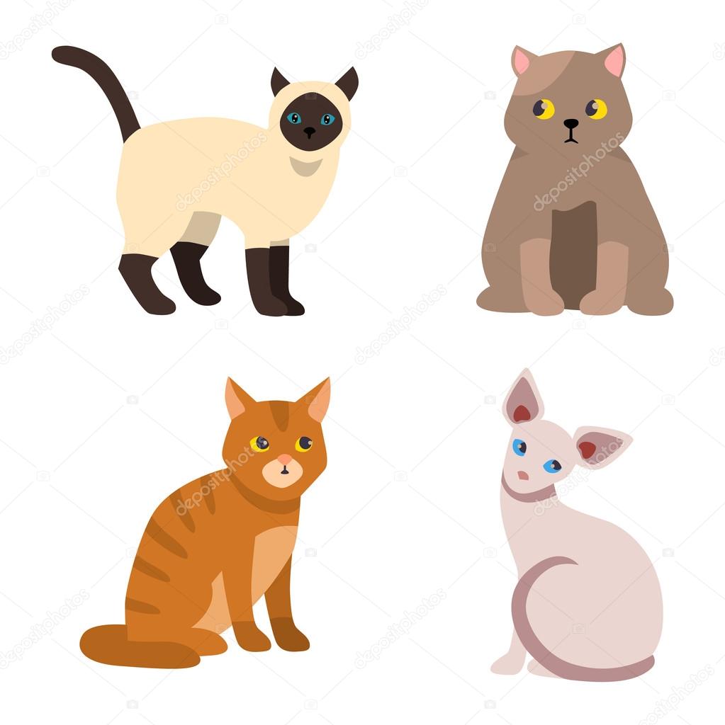 Cat breeds cute pet animal set