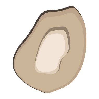 Taze midye vektör çizim.