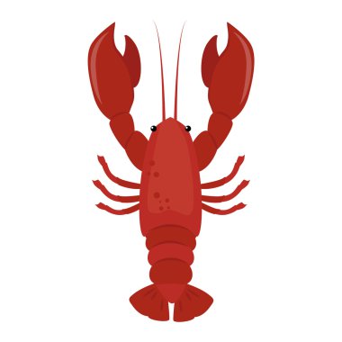 Istakoz vektör düz çizim.