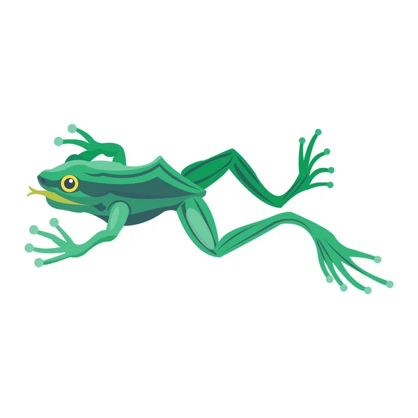 Żaba kreskówka tropikalny zwierzę — Wektor stockowy