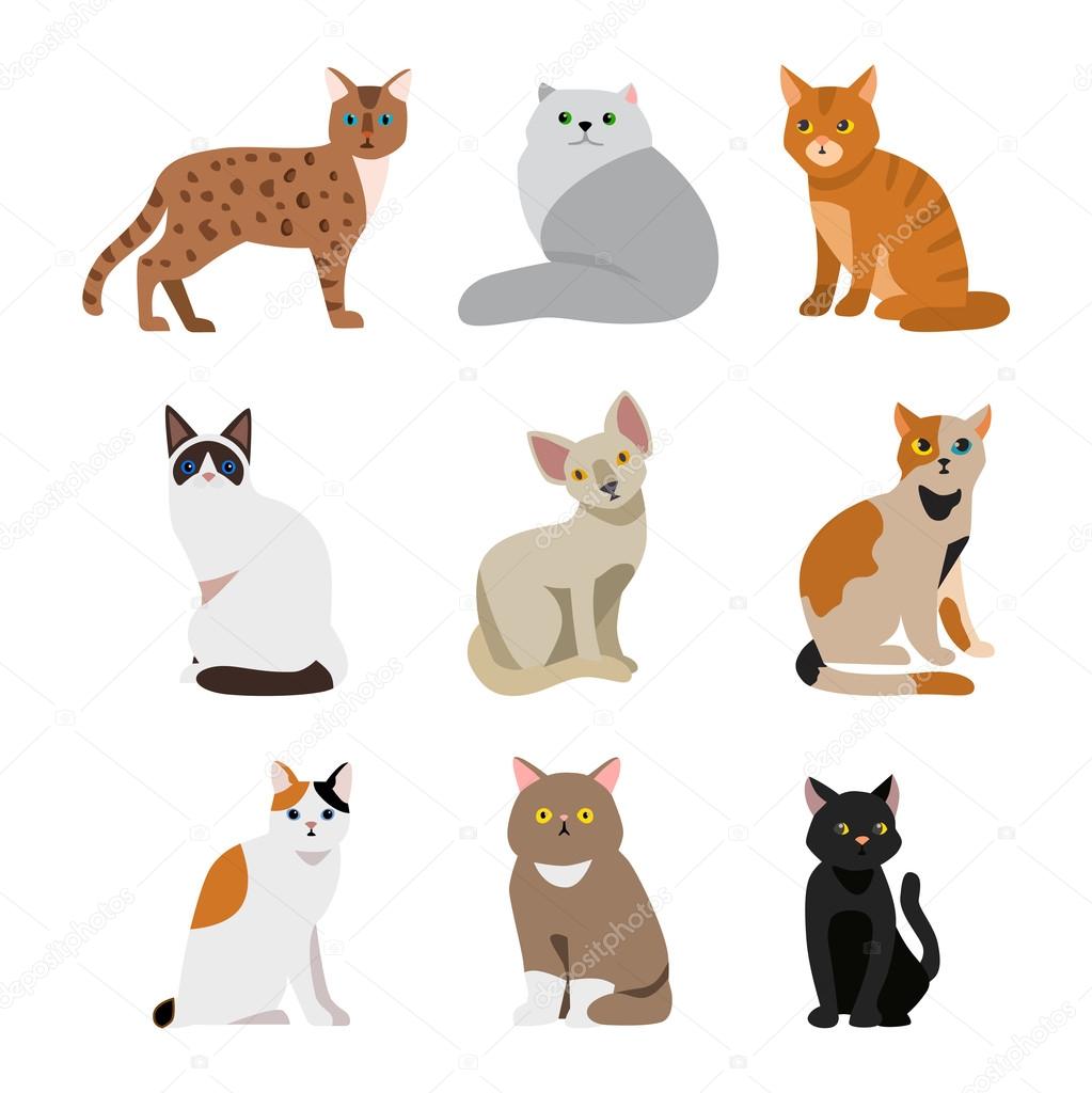 Cat breeds cute pet animal set