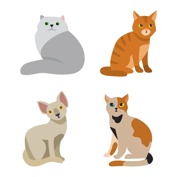 Vector thin line breed cats icons set. Cute outline animal illustrations  pet design. Collection different kitten layout flat cover