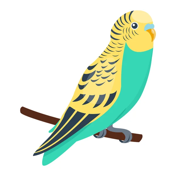 Cartoon parrot vector bird — Stock Vector