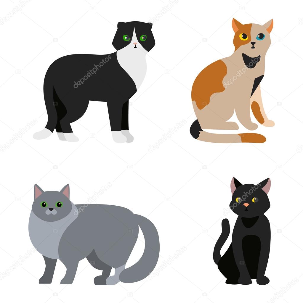 Set Of Cute Cats Icons, Vector Flat Illustrations. Animals Breeds