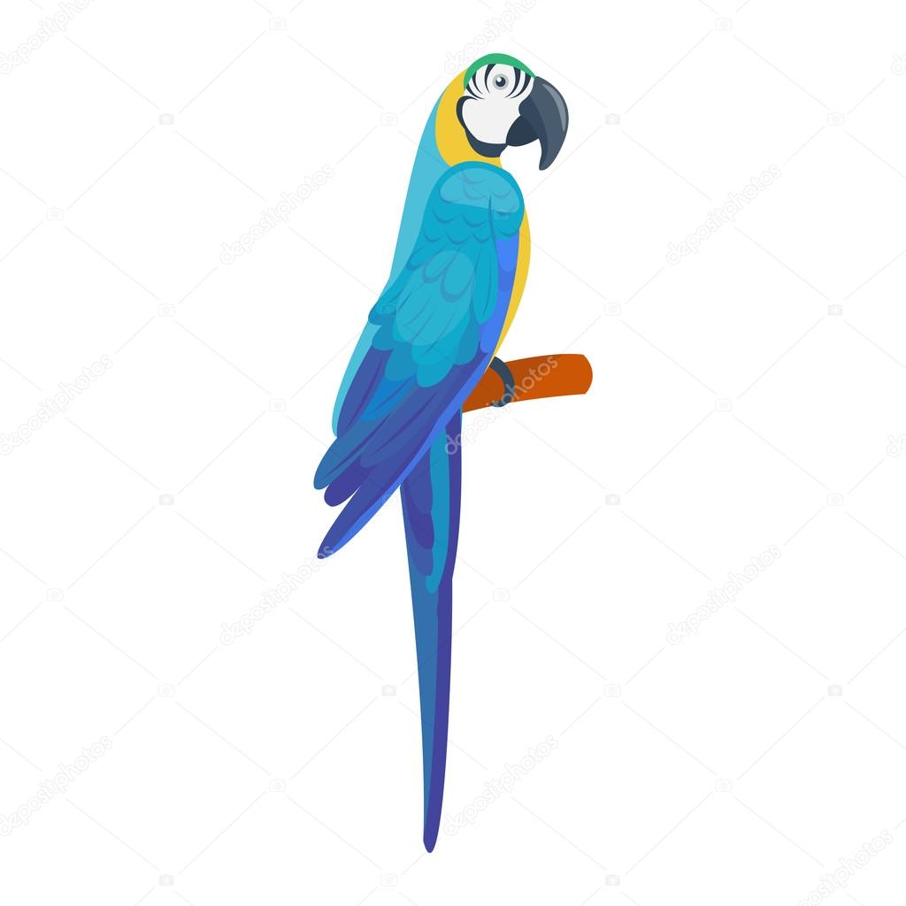 Cartoon parrot vector bird