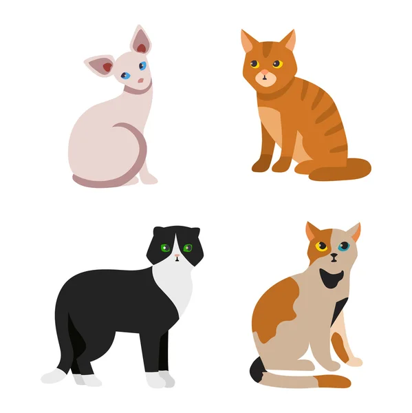 Cat breeds cute pet animal set — Stock Vector