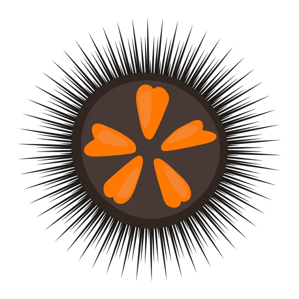 Illustration vectorielle oursin noir . — Image vectorielle