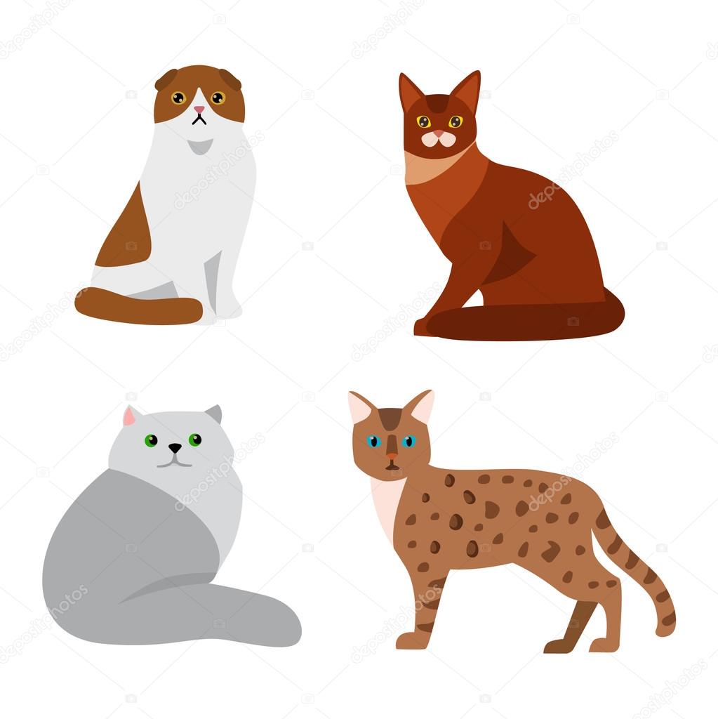 Diferentes raças de gatos, bonito animal de estimação, diferentes gatos em  estilo simples de desenho animado.