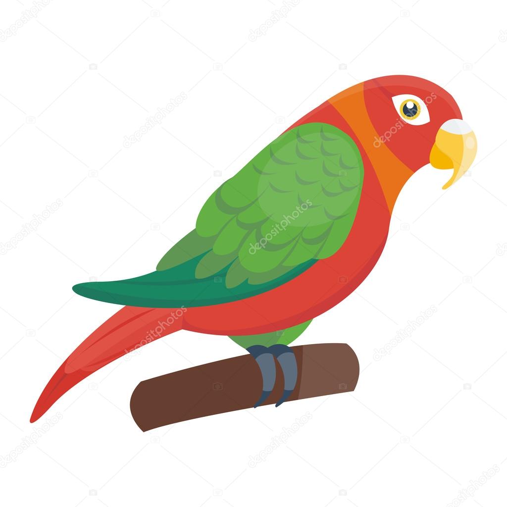 Cartoon parrot vector bird