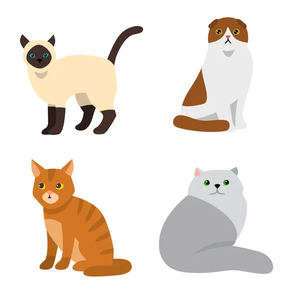 Cat breeds cute pet animal set — Stock Vector