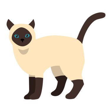 Karikatür vektör siyam kedi karakteri