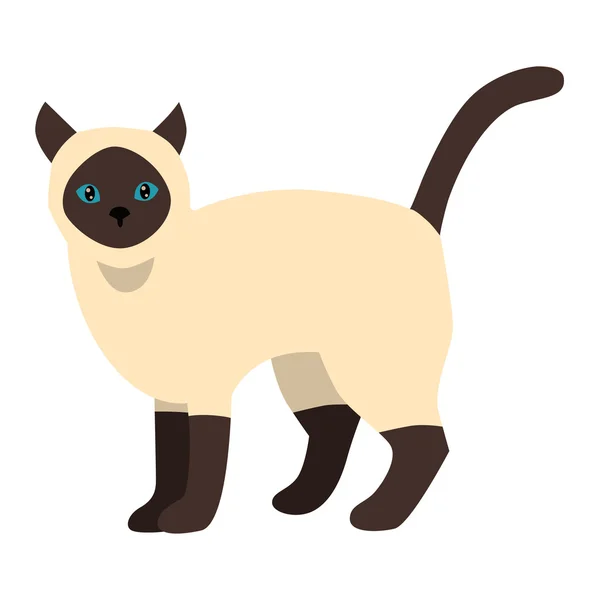 Dessin animé vecteur siamois chat caractère — Image vectorielle