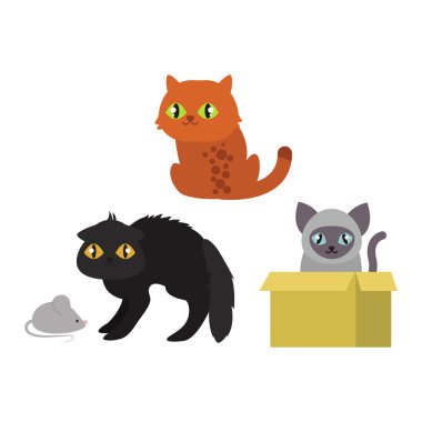 Kedi kitty vektör karakter