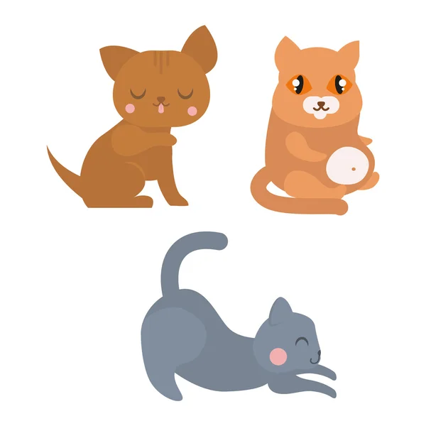 Gatos gatito vector caracteres — Vector de stock