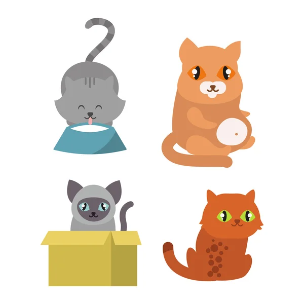 Cats kitty vector characters — Stock Vector