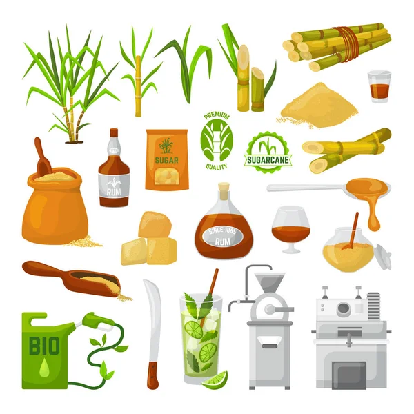Suikerriet superfood vector illustraties geïsoleerd op witte set. Stebel met bladeren en kristalsuiker, eco-biologische zoete plant. — Stockvector