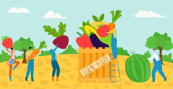 Taze sebze gıda konseptiyle tarım hasadı, vektör çizimi. İnsanlar çiftlik bahçesinden sağlıklı organik ürünler topluyor.. — Stok Vektör