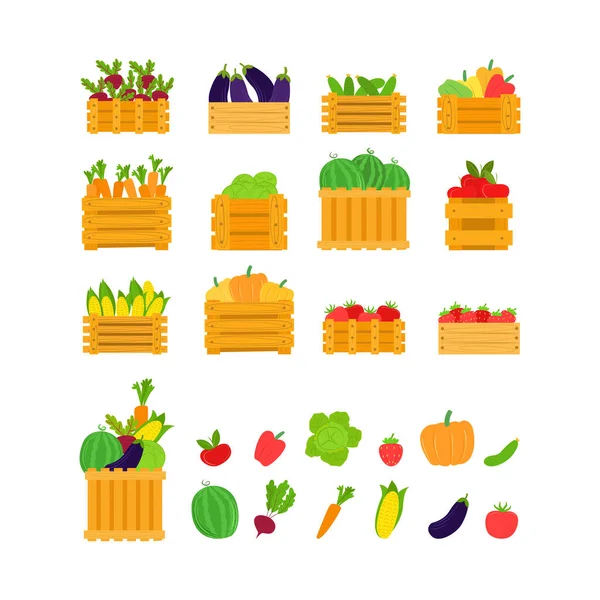 Фрукти, овочі в коробці, Векторні ілюстрації. Набір здорової їжі, органічна свіжа вегетаріанська колекція продуктів. Плоский урожай моркви, буряка — стоковий вектор