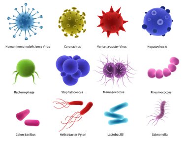 Virus microbe, isolated on white biology set, vector illustration. Organism illness hiv, coronavirus, staphylococcus bacteria collection. clipart