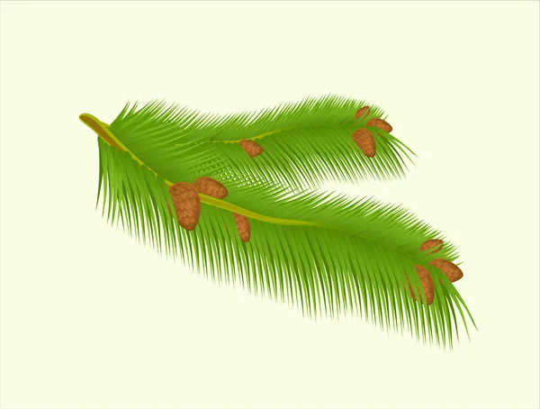 Green branch on background vector stock illustration — Stok Vektör