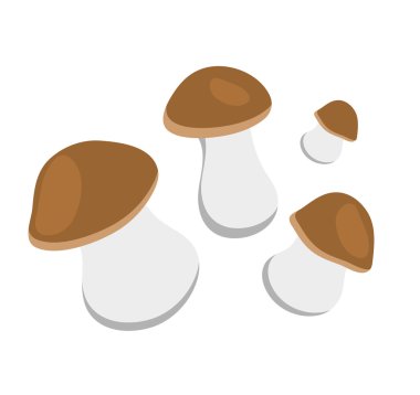 Beyaz arka plan üzerinde izole kahverengi champignon mantar