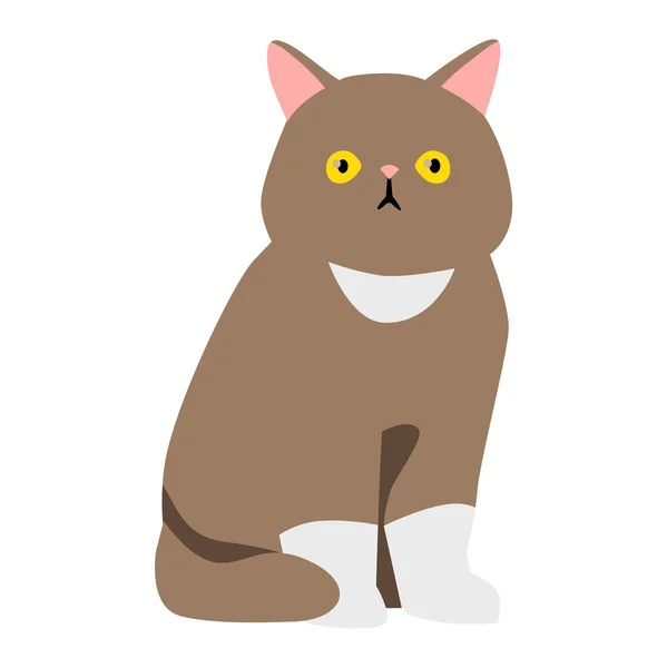 Personnage De Chat Vecteur De Bande Dessinee Animaux De Compagnie Assis Stock Photo Personnage De Chat Vecteur De Bande Dessinee Animaux De Compagnie Assis Stock Photo