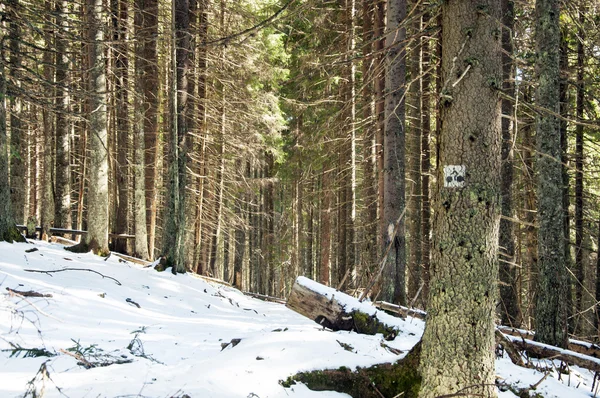 Bisiklet yol işareti