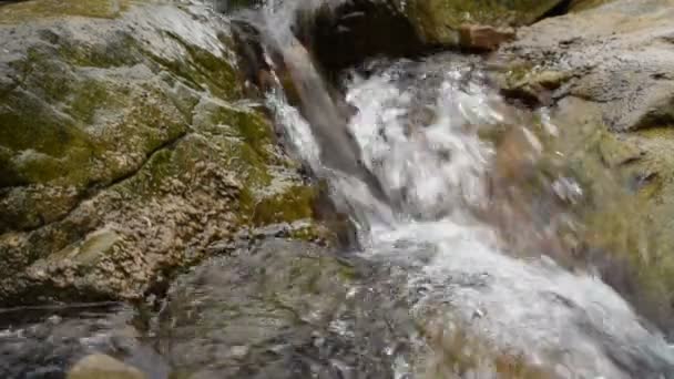 Cours d'eau rapide de montagne — Video