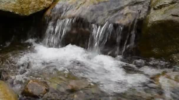 Cours d'eau rapide de montagne — Video