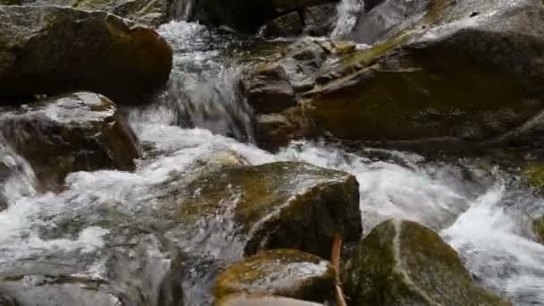 Mountain swift stream — Stock Video