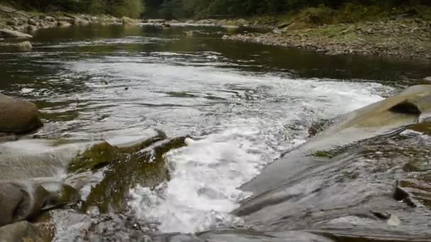 Montaña arroyo rápido — Vídeos de Stock